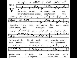 Offertorium Vir erat in terra, Dominica XXVII TpA (27 TO)