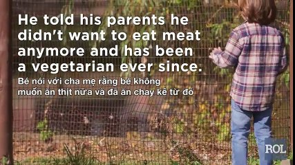 Cậu bé ăn chay 4 tuổi