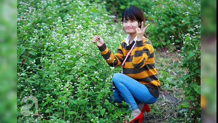 Cư dân mạng bức xúc với những hình ảnh giẫm đạp, giày xéo hoa không thương tiếc