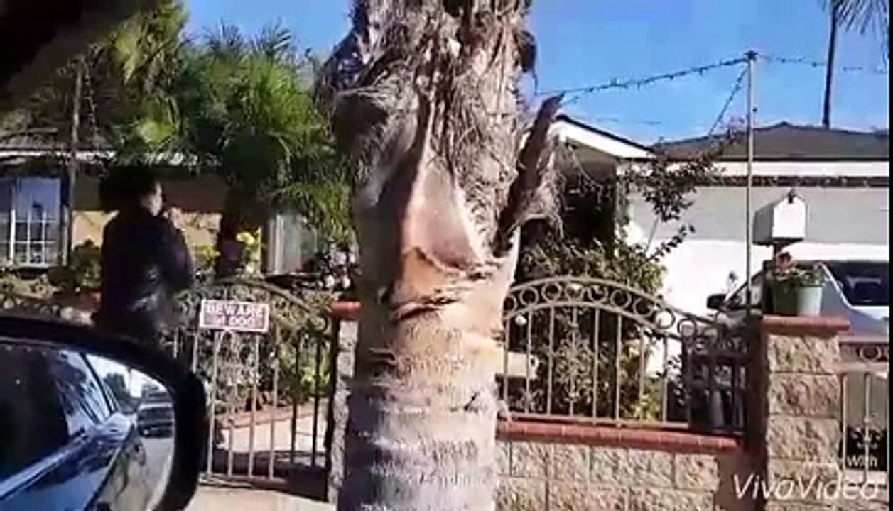 Giang Hồng Ngọc chạy mất dép vì bị chó "tấn công"