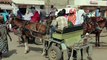 Le car rapide sénégalais 6/7 - les autres moyens de transports à Dakar