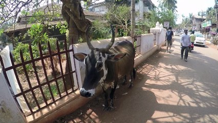 Voyage MGP 2016 - Qatar & Inde - HEC Paris / ISAE-SUPAERO