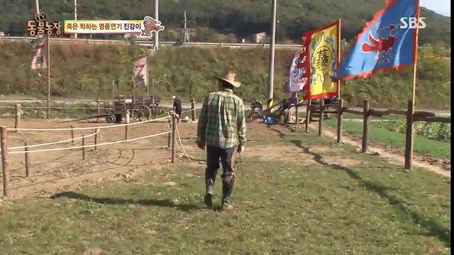 Buồn cười chú ngựa giả chết mỗi khi bị kêu cưỡi