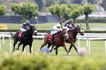 Courses Hippiques, une nouvelle étape - LTOM