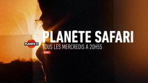 Planète safari - Le générique