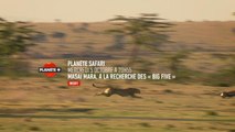 Planète safari - Extrait de l'épisode 1