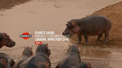 Planète safari - Extrait de l'épisode 3