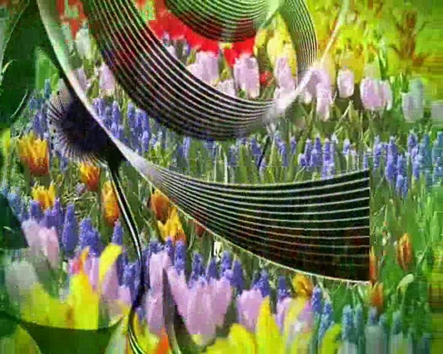 Tarkan Erkan Oğur Allı Turnam Bizim Ele Varırsan