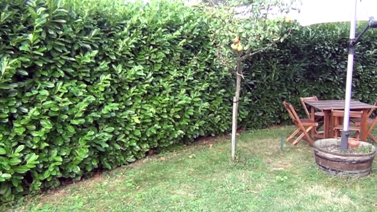 Quetigny belle maison - Agence CARREZ Immobilier