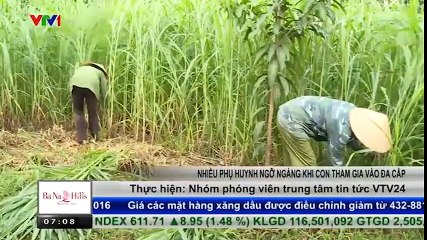 Nhiều phụ huynh ngỡ ngàng khi con ‘dính’ vào đa cấp