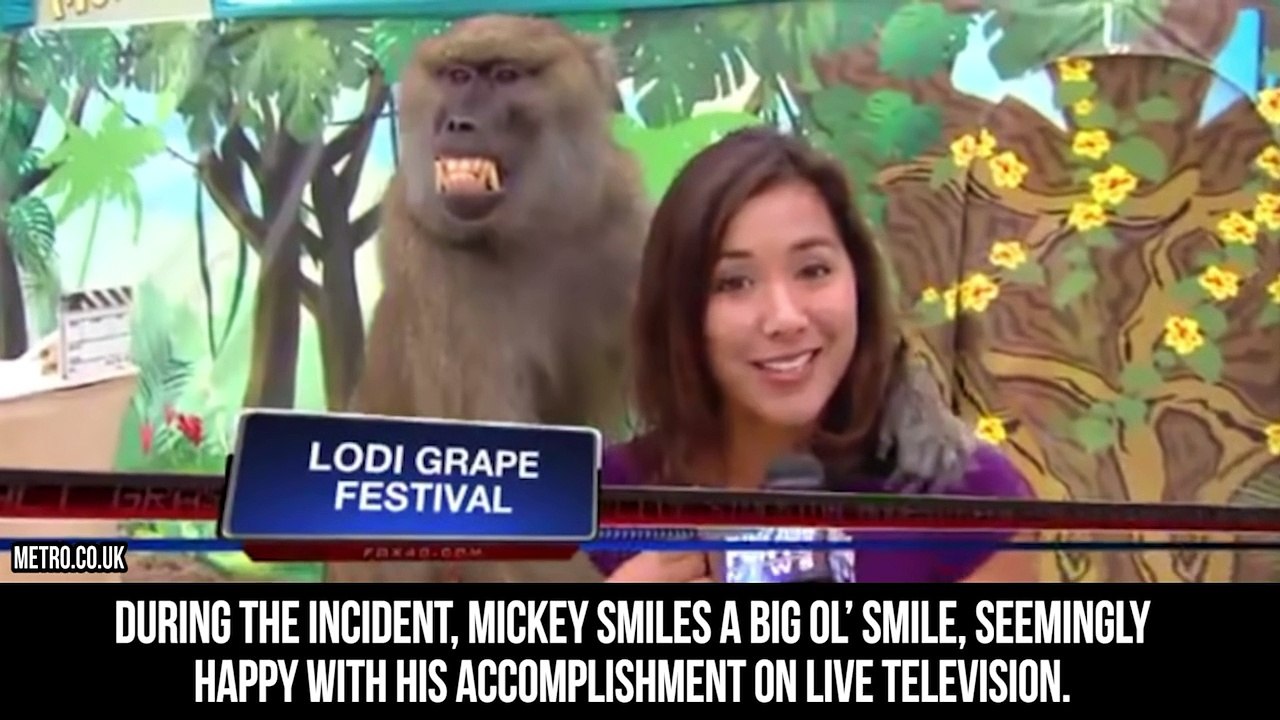 10 Most Inappropriate Animal Encounters!