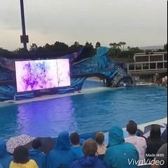 Phùng Ngọc Huy sợ hãi trước... một chú thỏ