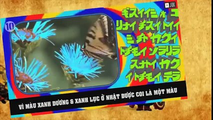 10 sự thật 'kì quái' tại Nhật Bản mà bạn chưa biết!