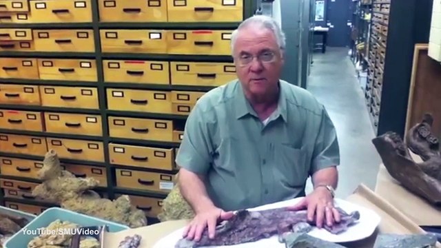 Loài hà mã mới có cách ăn uống kì lạ