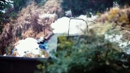 Остров Кошек (Island Cats) (фильм 2016) - Zergee