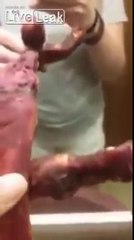 Woman Orders Spare Ribs Instead Gets DOG PAWS From Chinese Restaurant