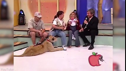 Sư tử tấn công bé gái trên sóng truyền hình