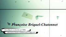 Prix Irène Joliot-Curie 2016 : Françoise Briquel-Chatonnet, Prix de la 
