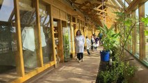 Escuela verde planta semillas por el planeta en Uruguay