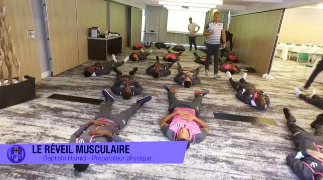 Exclu Inside LOSC/TFC : La Journée au coeur des Violets !