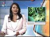 Nuevas informaciones sobre el nuevo virus Mayaro y lo que puede ocasionar