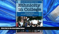 For you Ethnicity in College: Advancing Theory and Improving Diversity Practices on Campus