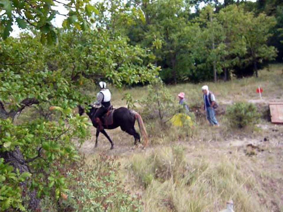 notre TREC 2016 suite