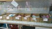 Las imágenes de bebés recién nacidos en cajas de cartón en hospitales venezolanos
