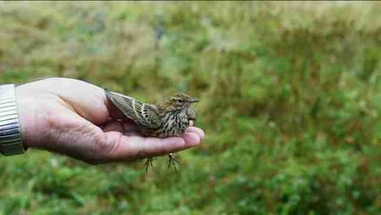 Una escala técnica para recuperar fuerzas