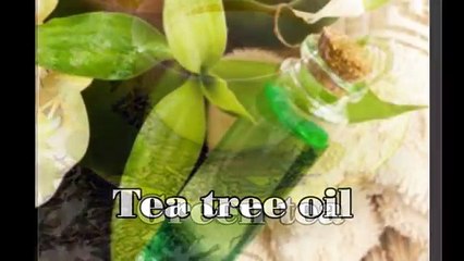Best Herbs for Healthy Gums and Teeth