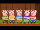 Kids TV Nursery Rhymes - Five Little Piggies Nursery Rhyme
