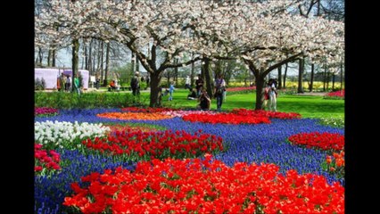 les plus beaux paysages