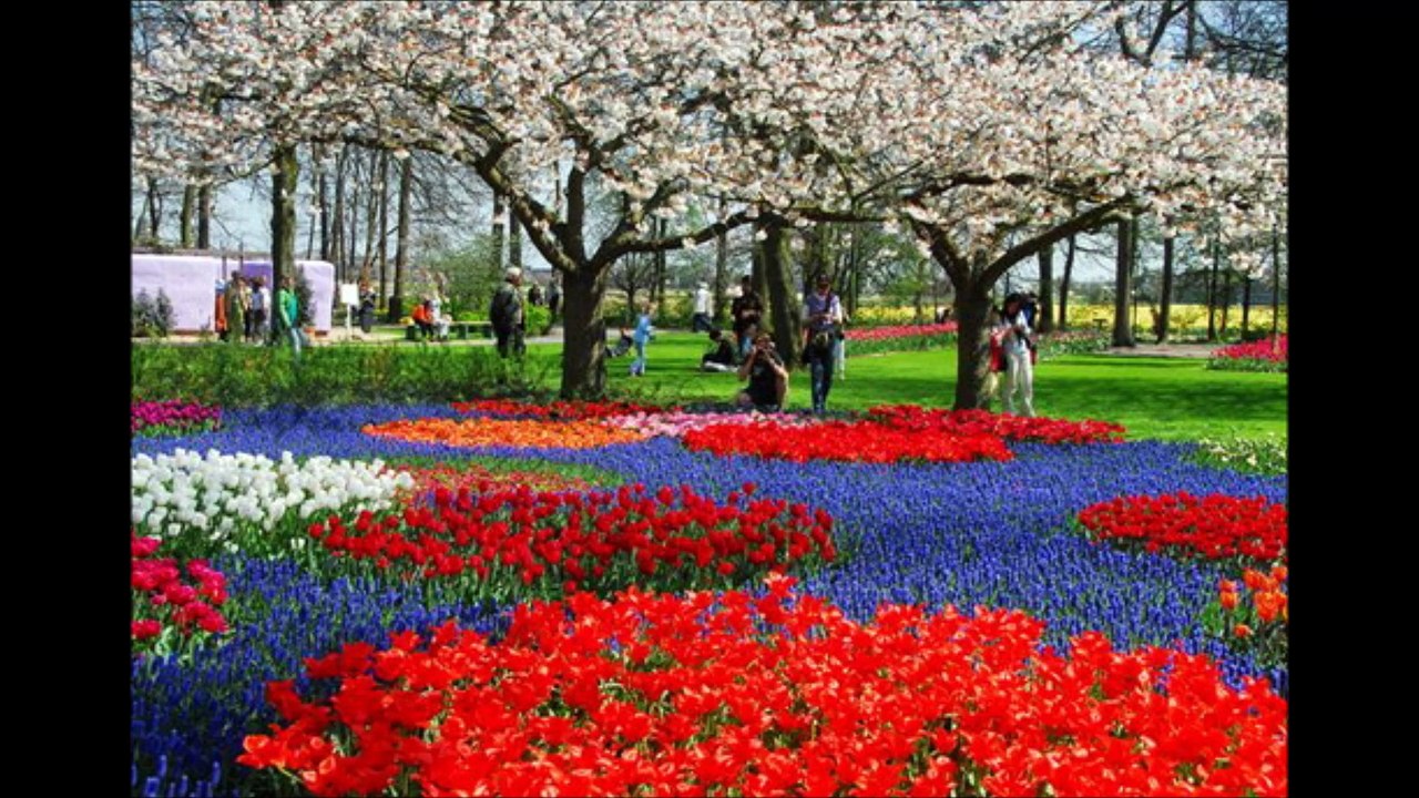 les plus beaux paysages