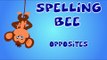Learn Opposites Words | Opposites Words With Spelling Bees