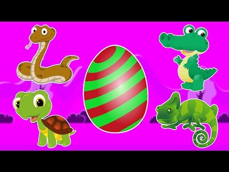 Reptiles | Surprise Eggs | Learn Repltile Names And Sounds With Suprise Egss For Kids