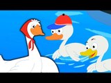 Cinco patitos | Cartoon para niños | video educativo | de la poesía infantil | Five Little Ducks