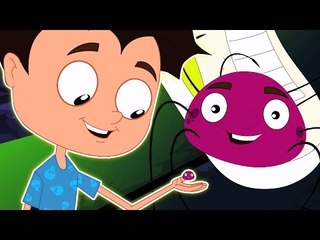 Araña en el zapato | Cartoon para los niños | video educativo | Canción de cuna