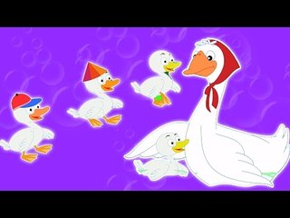 Cinque anatre poco | Cartoon per i capretti | Popolare Filastrocca | Five Little Ducks