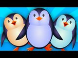 five little penguins | nursery rhymes | kids songs | childrens rhymes