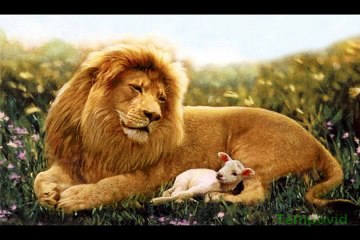 Efecto Mandela 100% PRUEBAS DE QUE ES REAL