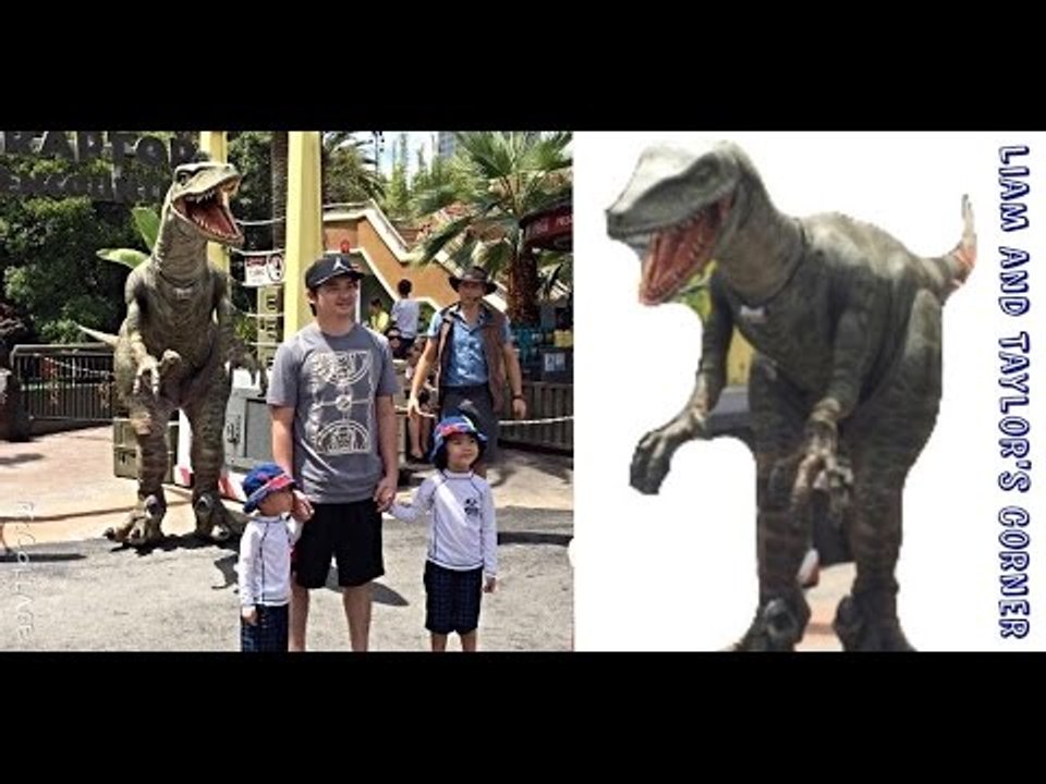 RAPTOR ENCOUNTER at Universal Studios Hollywood | Tango | Velociraptor | Liam and Taylor's Corner