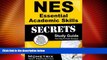 Big Deals  NES Essential Academic Skills Secrets Study Guide: NES Test Review for the National