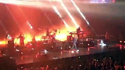 Maroon 5 in Bangkok - Animals