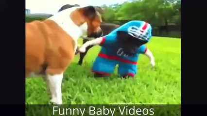 Funny Videos Try Not To Laugh Challenge Funny Pranks Funny Bloopers Funny Fails REACTION!