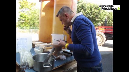 VIDEO. A Mont-près-Chambord, on accueille toutes les vendanges