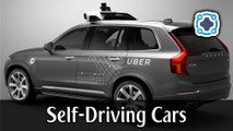 WILL SELF-DRIVING CARS BECOME THE NORM?