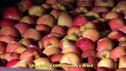 Capital da Qualidade de Vida - Florianópolis (SESI) - Produzido pela Videoface