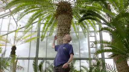 الكائن الأكثر وحدة - Great Big Story