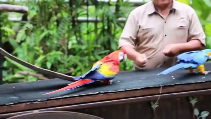 Kids and wild animals At The Zoo