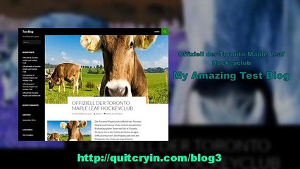 Offiziell der Toronto Maple Leaf Hockeyclub